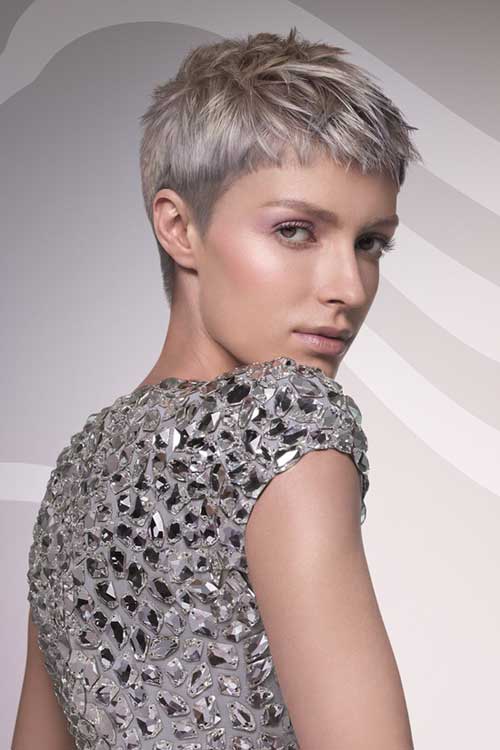 Short gray hairstyle