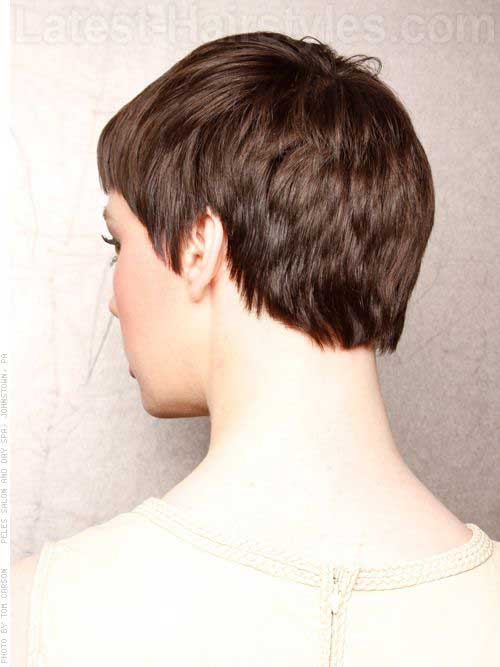 Back Of Very Short Pixie Cut