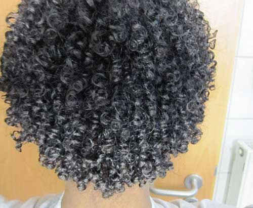 Natural Curly Short Hairstyle Back View
