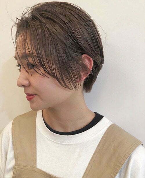 Asian Short Hair