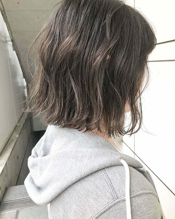 Asian Short Hair