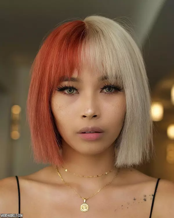 Short Two Tone Hair Color