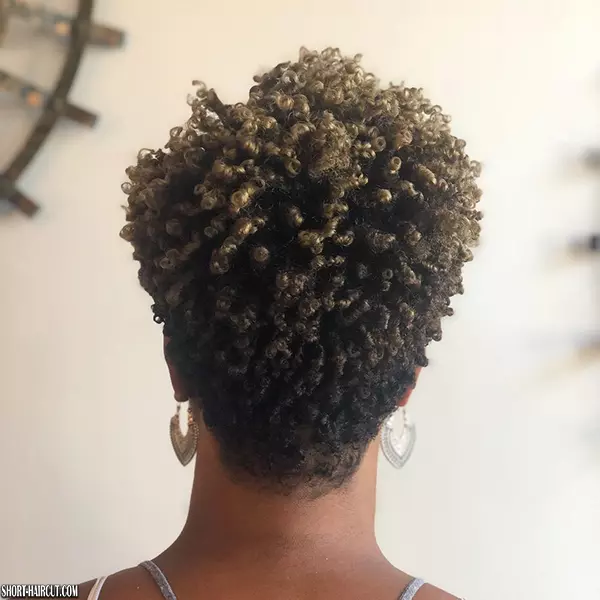 Short Curly Hairstyles Back View