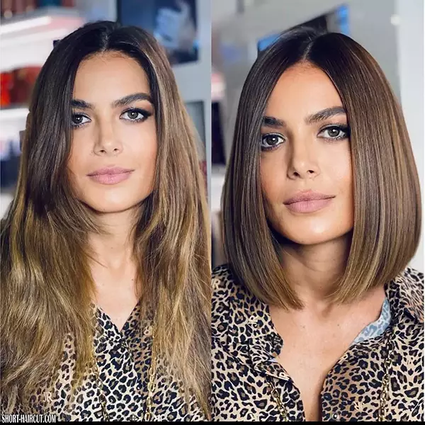 Short Straight Brown Hairstyles