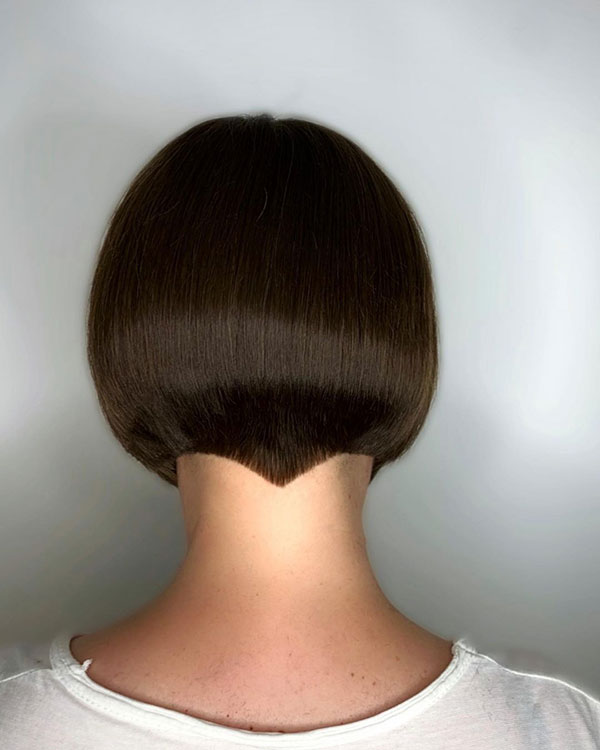 Back View Of Short Hairstyles For Ladies